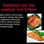 Ikan Salmon Hidup Di Perairan Mana